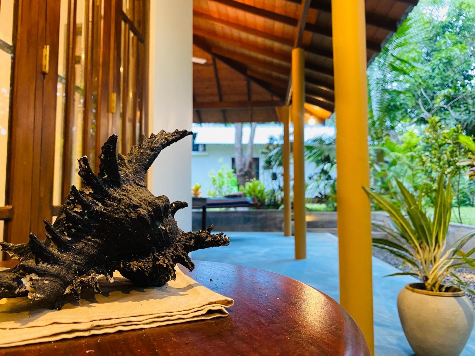 See Turtle Villa Tangalle Exteriér fotografie